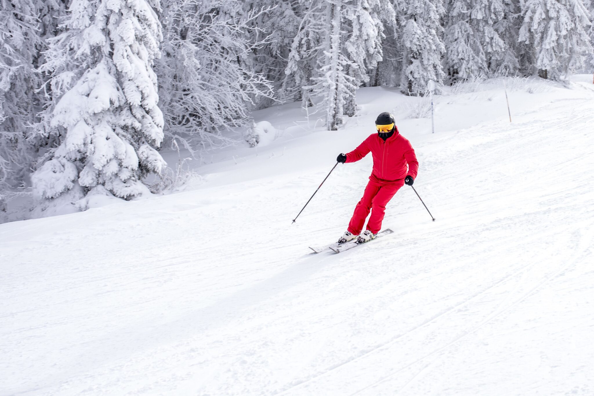 Top 10 Best Colleges for Skiing in 2025 | Ultimate Guide by Dot-Ski